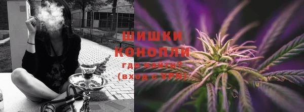 ГАЛЛЮЦИНОГЕННЫЕ ГРИБЫ Осинники