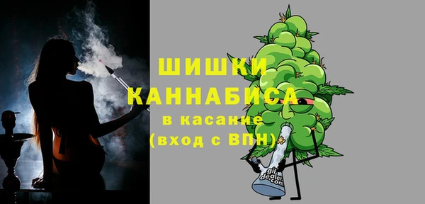 ГАЛЛЮЦИНОГЕННЫЕ ГРИБЫ Осинники