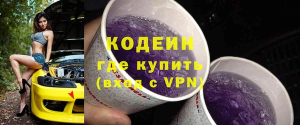 тгк Няндома