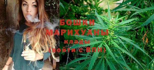 ГАЛЛЮЦИНОГЕННЫЕ ГРИБЫ Осинники